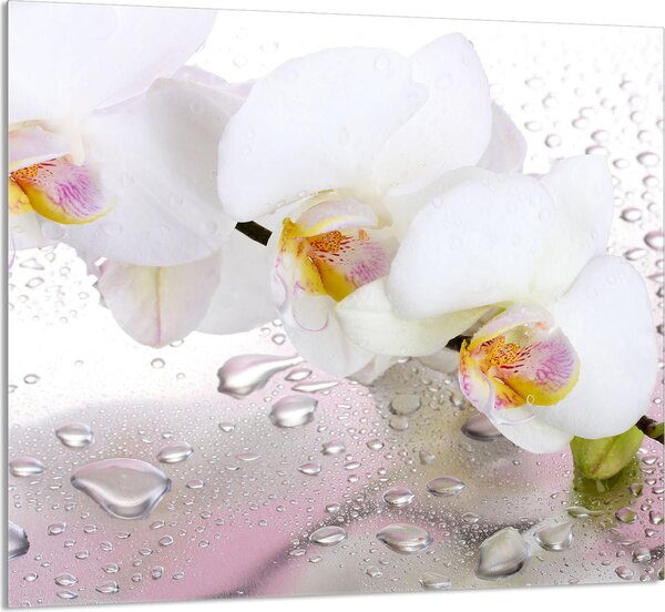 PIATTO DI VETRO PER CUCINA 65x60 Orchidea