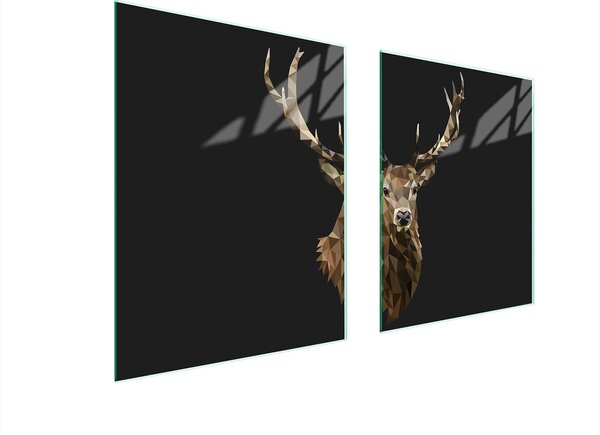 Piastra Di Protezione In Vetrina Per Levi 85X52 Hirsch