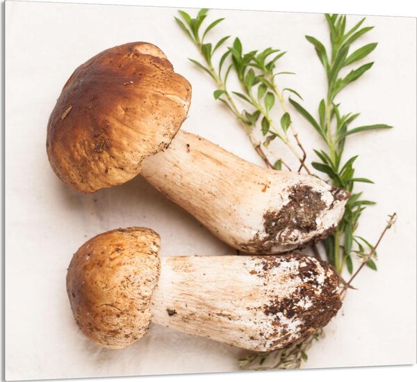 PIATTO IN VETRO PER CUCINA 65x60 Funghi