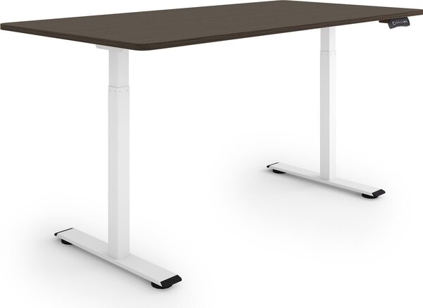 ESMART Germany ERX-122WE 160x80cm Decorazione ebano Scrivania ergonomica sit-stand Regolabile elettricamente in altezza in modo continuo 73,5-122,5 cm 3 x memoria Ricordo attività Doppio motore Montaggio rapido