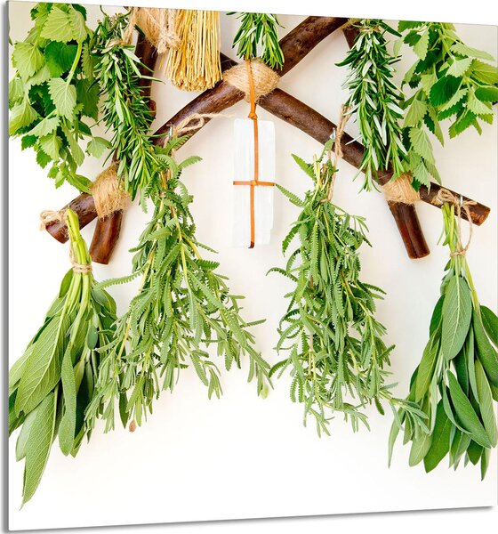 PIATTO DI VETRO PER CUCINA 60x65 Erbe