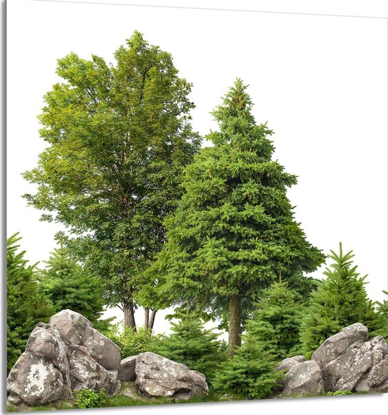 PIATTO IN VETRO PER CUCINA 60x65 alberi
