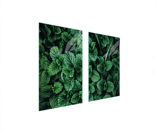 Piastre copri fornelli 2 pezzi 75x52 Copri piano cottura in Vetroceramica tagliere in vetro melissa verde