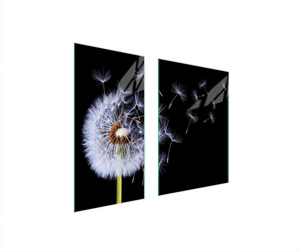 Piastre copri fornelli 2 pezzi 75x52 Copri piano cottura in Vetroceramica tagliere in vetro dente di leone nero