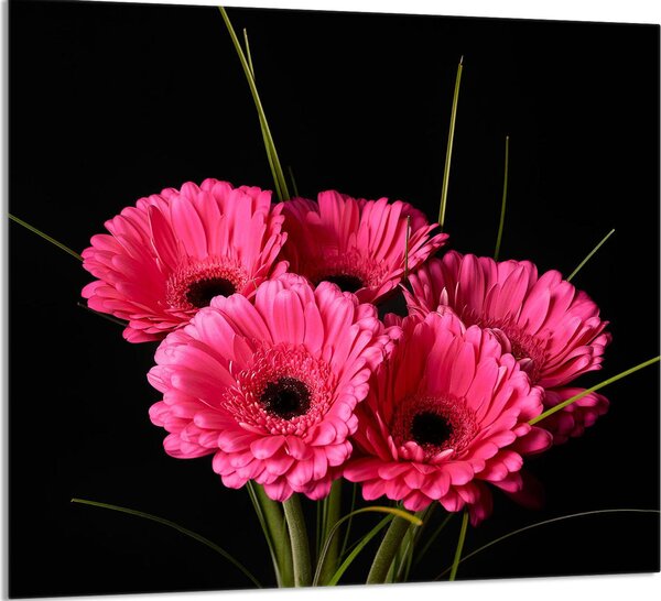 PIATTO IN VETRO PER CUCINA 65x60 Gerbera