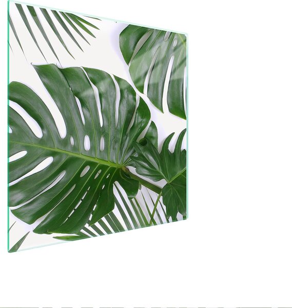 Piastra Di Protezione In Vetrina Per Levi 50X52 Monstera
