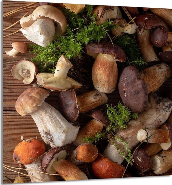 PIATTO IN VETRO PER CUCINA 60x65 Funghi