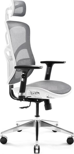 Diablo V-Basic Sedia ergonomica da ufficio Sedia direzionale in rete Braccioli regolabili Altezza regolabile Bianco-Grigio