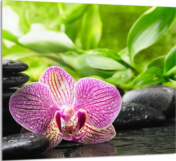 PIATTO DI VETRO PER CUCINA 65x60 Orchidea