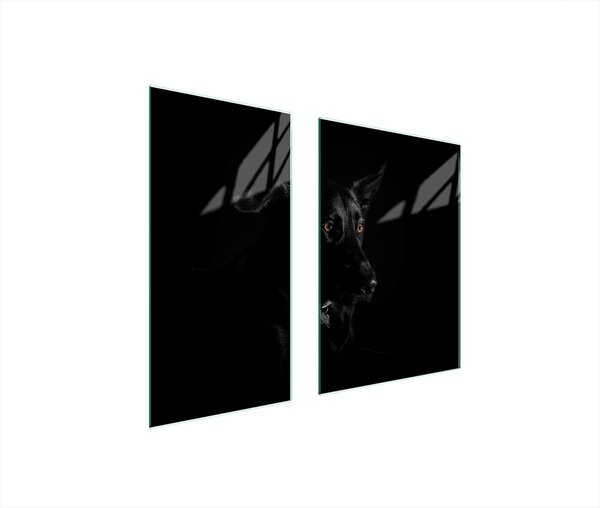 Piastre copri fornelli 2 pezzi 75x52 Vetroceramica copri piano cottura vetro tagliere cane nero