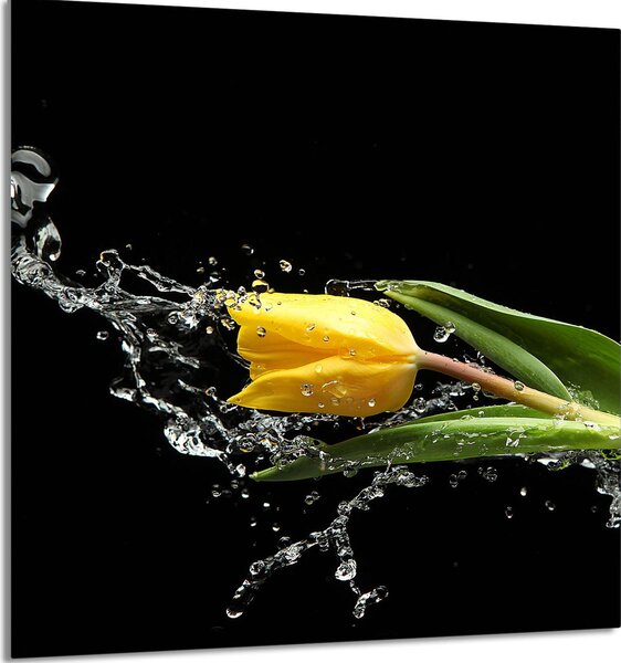 PIASTRELLE IN VETRO PER CUCINA 60x65 Tulipano
