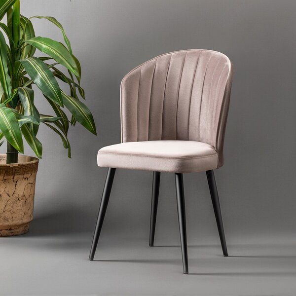 Skye Decor, Rubi - Cappuccino, set di sedie (2 pezzi), 100% MDF, Cappuccino, 52 x 42 x 85 cm