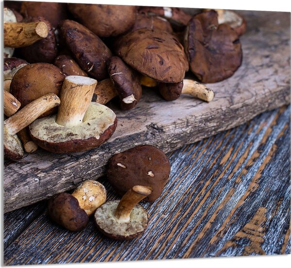 PIATTO IN VETRO PER CUCINA 65x60 Funghi