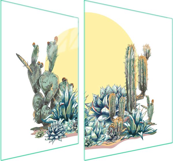 Piastra Di Protezione In Vetrina Per Cactus 70X52