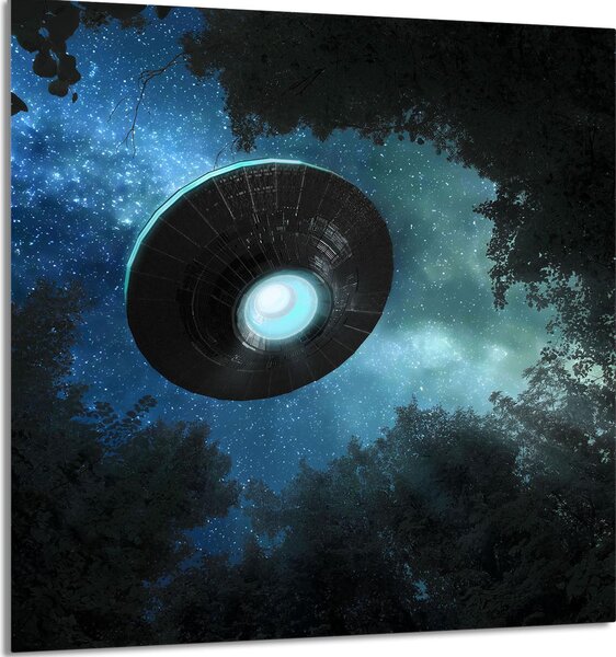 Piatto In Vetro Per Cucina 60X65 Ufo