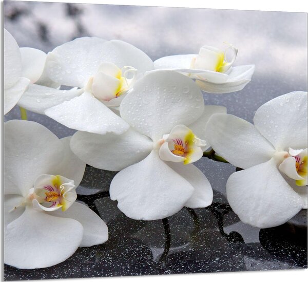PIATTO DI VETRO PER CUCINA 65x60 Orchidea