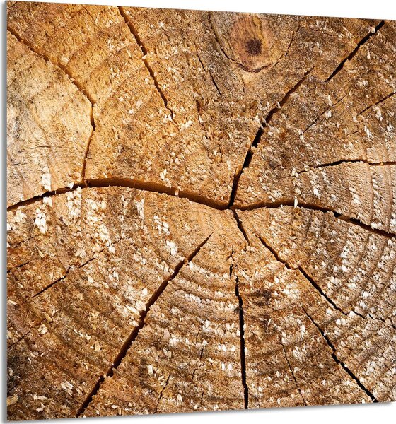 PIATTO IN VETRO PER CUCINA 60x65 legno