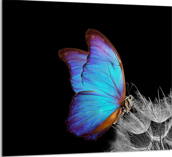 PIATTO IN VETRO PER CUCINA 65x60 Butterfly