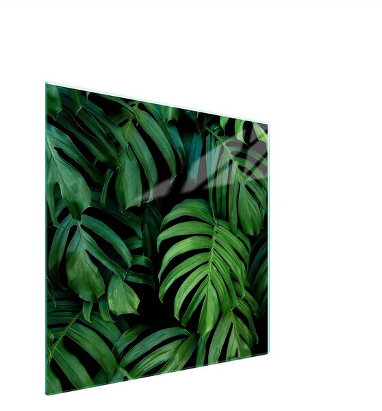 Piastra Di Protezione In Vetrina Per Levi 50X52 Monstera