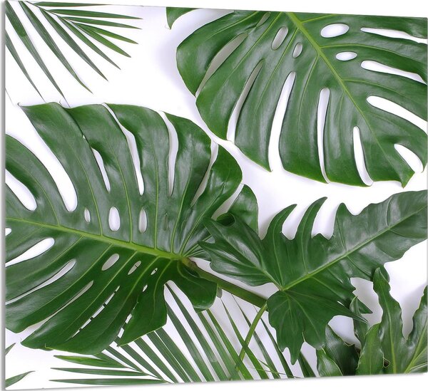 PIATTO IN VETRO PER CUCINA 65x60 Monstera