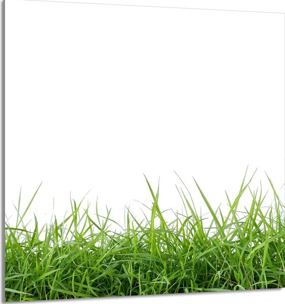 PIATTO IN VETRO PER CUCINA 60x65 Bianco