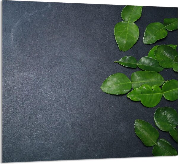 PIATTO IN VETRO PER CUCINA 65x60 ardesia