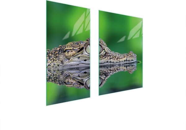 Piastre copri fornelli 2 pezzi 75x52 Copri piano cottura in Vetroceramica tagliere in vetro Aligator verde
