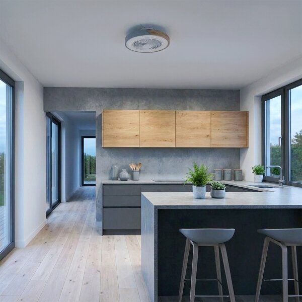 Brilagi - Plafoniera dimmerabile a LED con ventilatore, 38W/230V, 50 cm, grigio/rovere + telecomando