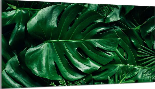 Piastra di copertura del piano cottura 90x52 Piastra di copertura del piano cottura in Vetroceramica, tagliere decorativo, verde Monstera