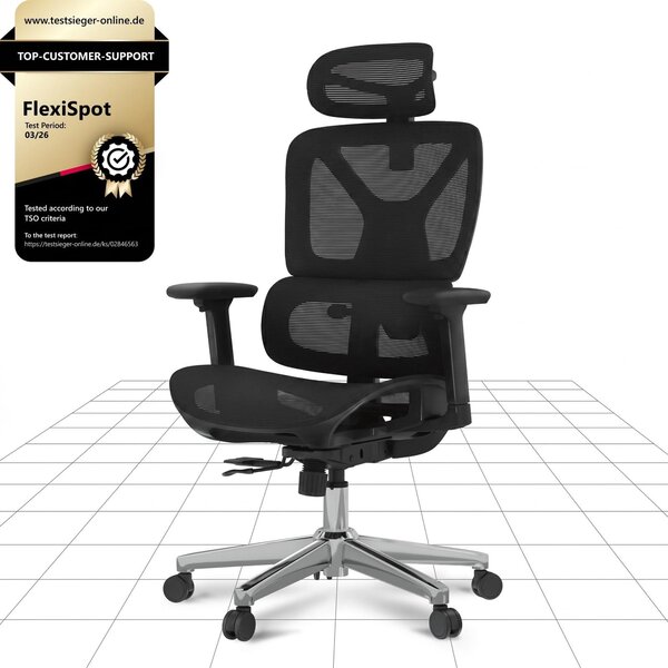 Sedia ergonomica da ufficio - Sedia da lavoro - Rete - Nero - Fino a 130 kg