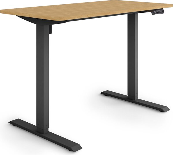 ESMART Germany ETX-121BBA 120 x 60 cm Decorazione in bambù Scrivania ergonomica in piedi/seduta Regolabile elettricamente in altezza in modo continuo 73,5 - 123,5 cm 3 porte di ricarica USB con memoria Promemoria attività Avvio/arresto graduale