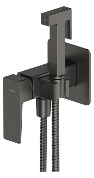 Omnires PARMA SYSPMBI2GR, miscelatore per bidet da incasso, colore grafite