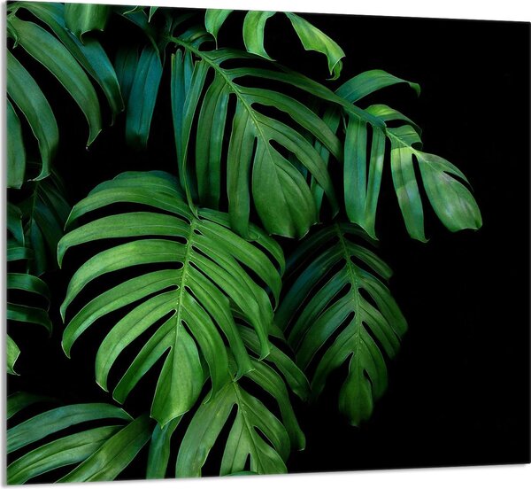 PIATTO IN VETRO PER CUCINA 65x60 Monstera