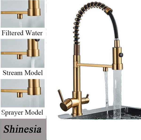 Miscelatore da cucina filtrato, doppia bocca girevole, design contemporaneo, oro spazzolato