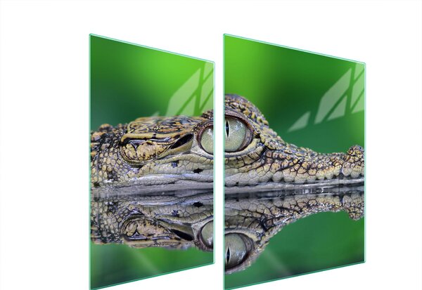 Piastra Di Protezione In Vetrina Per L'erba 70X52 Crocodil