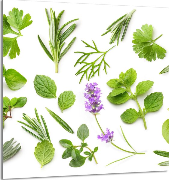 PIATTO IN VETRO PER CUCINA 60x65 Piante