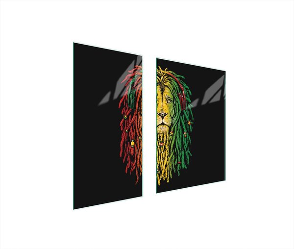 Piastre copri fornelli 2 pezzi 75x52 Copri piano cottura in Vetroceramica tagliere in vetro leone rasta