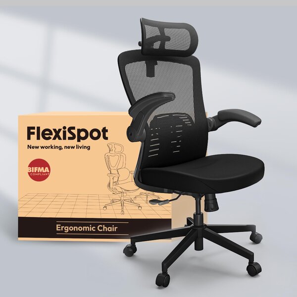 FLEXISPOT Sedia ergonomica per ufficio, poggiatesta 3D, schienale regolabile, braccioli pieghevoli, sedile in rete, inclinazione di 135°, portata di 150 kg Nero