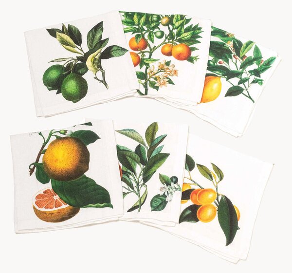 Set di 6 tovaglioli in lino Citruses White