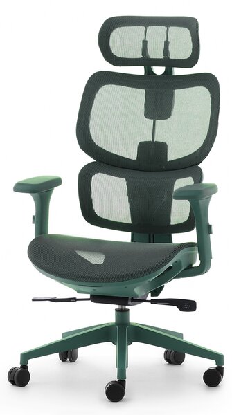 Sedia da ufficio NOLA - verde