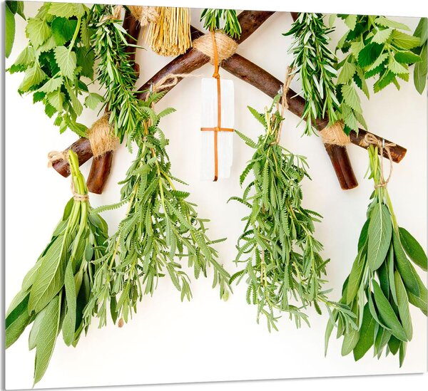 PIATTO DI VETRO PER CUCINA 65x60 Erbe
