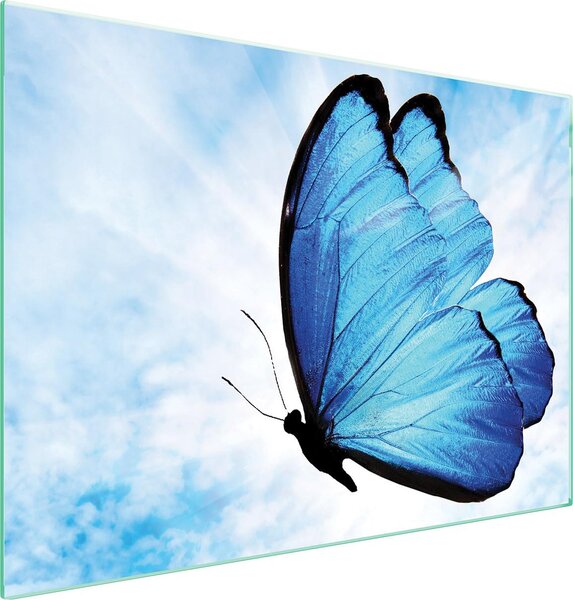 Piastra Di Protezione In Vetrina Per L'erda 70X52 Butterfly