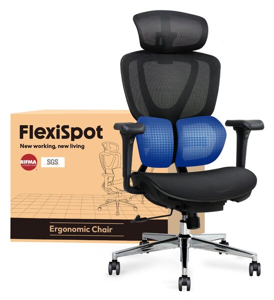 FLEXISPOT Sentinel: sedia da ufficio ergonomica con supporto lombare Dual-Wing, poggiatesta 3D, braccioli 3D, profondità della seduta e schienale regolabili (nero)