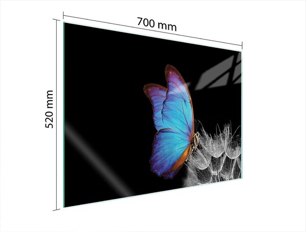 Piastra Di Protezione In Vetrina Per L'erda 70X52 Butterfly
