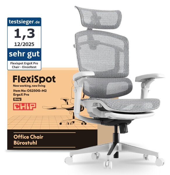 FLEXISPOT ErgoX Pro Sedia da ufficio ergonomica con poggiapiedi regolabile in altezza in 12 posizioni 7D braccioli 5D supporto lombare 4D poggiatesta 250 kg Sedile in rete Grigio