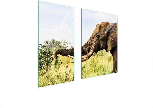 Piastre copri fornelli 2 pezzi 75x52 Vetroceramica copri piano cottura tagliere in vetro elefante animale