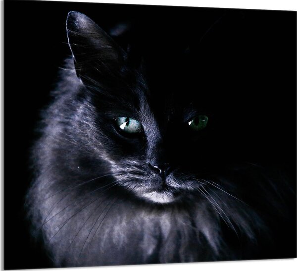 PIATTO IN VETRO PER CUCINA 65x60 Cat