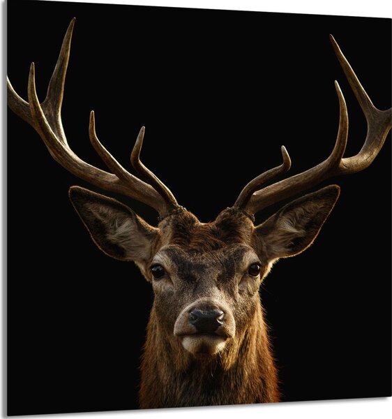 PIATTO IN VETRO PER CUCINA 60x65 Stag