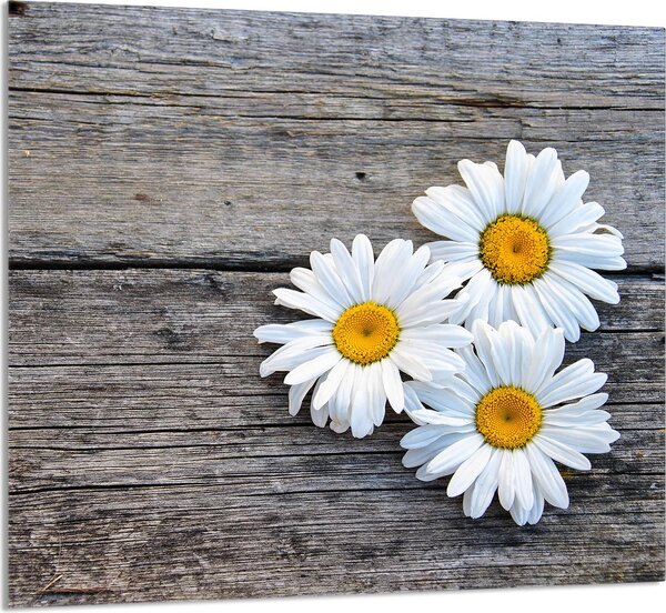 PIASTRELLE IN VETRO PER CUCINA 65x60 Daisy
