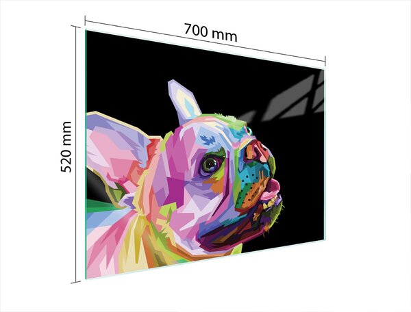 Pannello Di Protezione In Vetrina Per Levatori 70X52 Cane